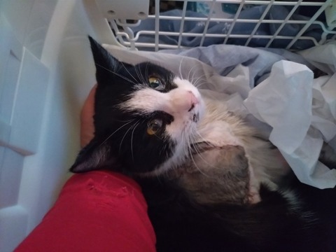 20250118_163330_copy_1000x750_copy_750x562