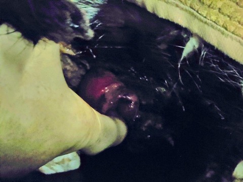 20230217_200717~3_copy_800x600