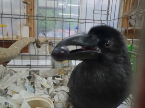 20251005_070331~4_copy_800x600