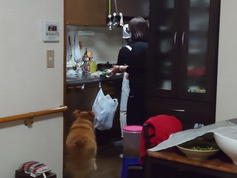 DSC_5653_copy_800x600