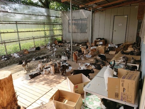 1599439500419_copy_800x600