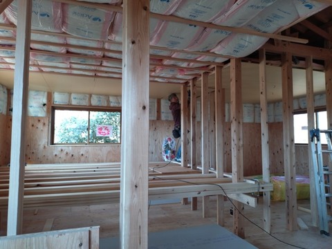 20260105_111454_copy_800x600