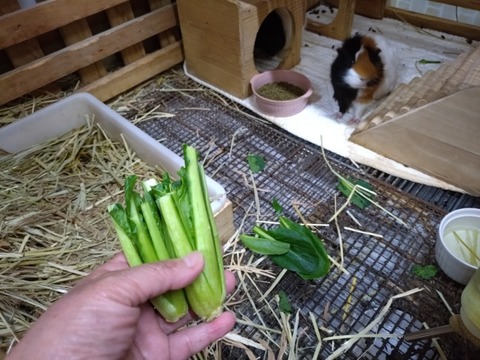 20260224_184707_copy_800x600