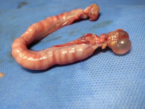 20251221_121737_copy_800x600