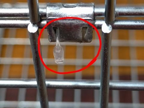 20251228_135756_copy_2048x1536~2_copy_819x614