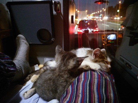 20221014_173203_copy_800x600