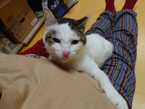 DSC_5751_copy_800x600