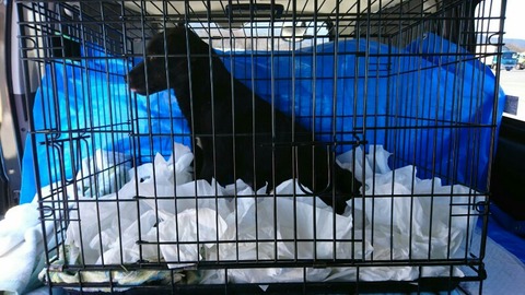 1519952152095-800x450