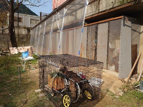 DSC_1738_copy_800x600