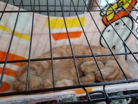 20251125_133328_copy_800x600