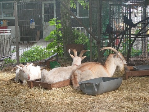 20230606_154926_copy_800x600