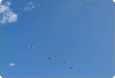 20231119_092726_copy_2994x2005_copy_1480x1006