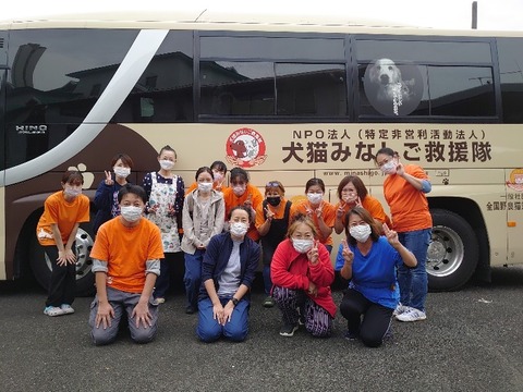 DSC_1686_copy_800x600