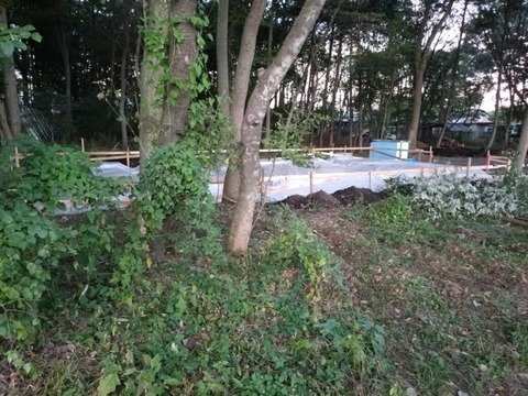 20251013_170134_copy_800x600