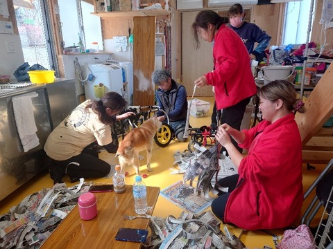 20240308_134419_copy_800x600