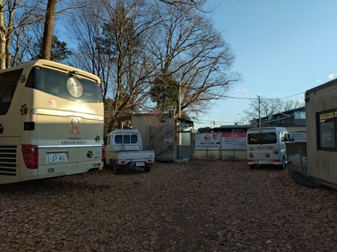 20260103_073551_copy_800x600