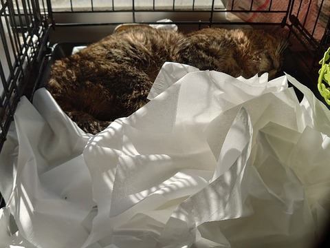 DSC_1548_copy_800x600