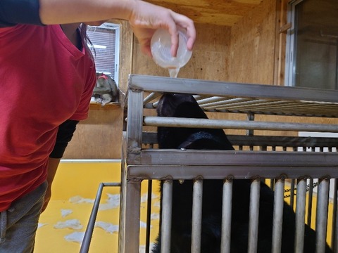 20231225_195454_copy_800x600