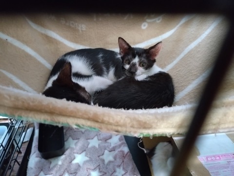 20251125_133206_copy_800x600