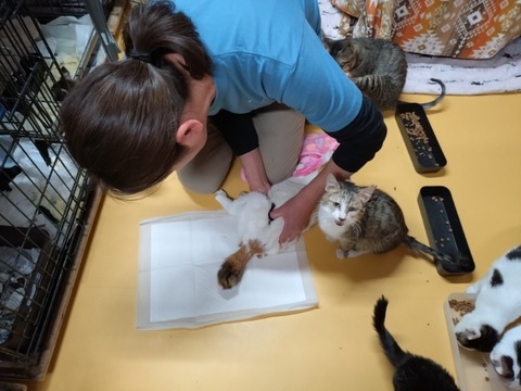 20260304_080026_copy_800x600