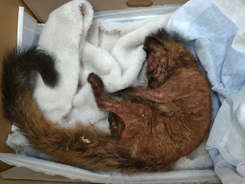 20260207_143548_copy_800x600