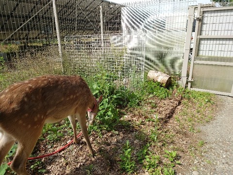 20230606_082944_copy_800x600