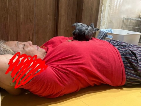 1761381659983~2_copy_738x554