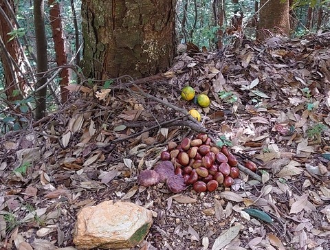 DSC_1306_copy_800x607_copy_800x607