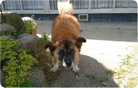 DSCPDC_0000_BURST20190524145