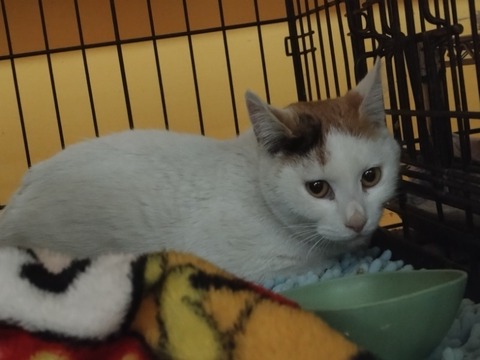 20260207_195130_copy_800x600_1