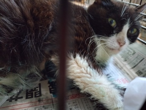 20250620_131934_copy_800x600