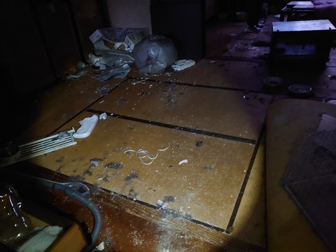 DSC_0029_copy_800x600