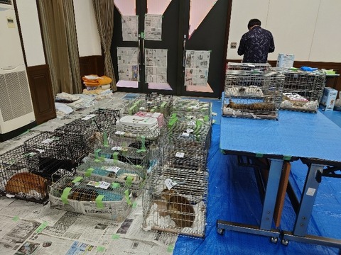 20230403_082210_copy_800x600