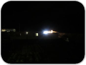 IMG_1280