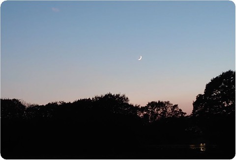 DSC_1316_copy_1771x1199