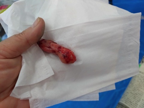 20251216_122617_copy_800x600