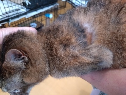 20250620_132359_copy_800x600