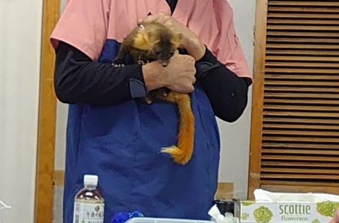 DSC_0584_copy_3226x2420_copy_682x449_copy_800x527