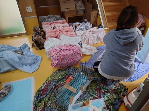 20230223_105239_copy_800x600