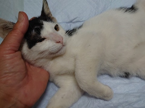 DSC_0014_copy_800x600