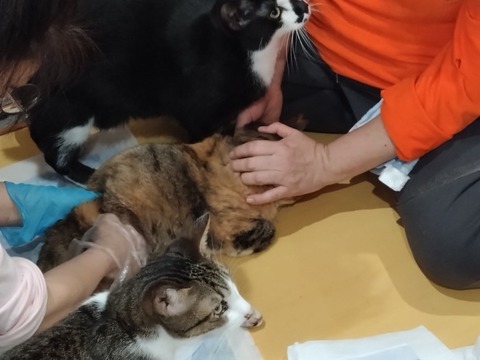 20260119_083826_copy_816x612