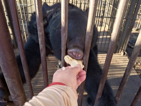 20251231_081704_copy_800x600