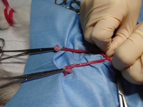 DSC_4237_copy_800x600