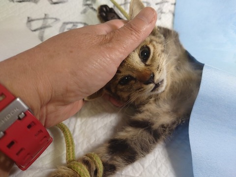 20220725_092157_copy_800x600_1