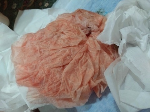 20260128_075913_copy_800x600