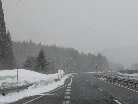 20250307_123324_copy_816x612