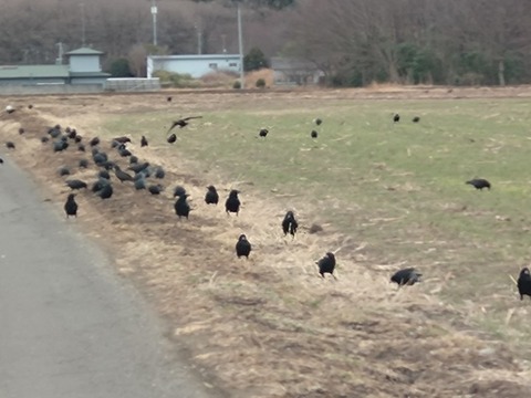 20260211_153913_copy_800x600