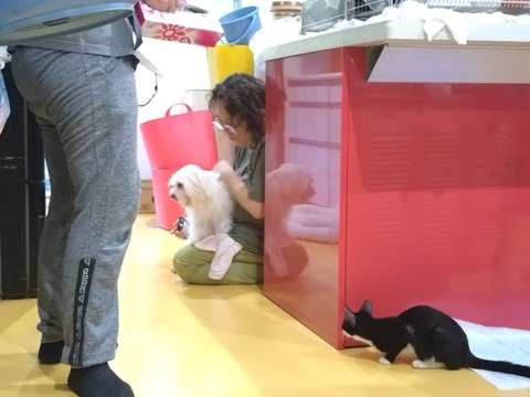 20251020_161552_copy_800x600