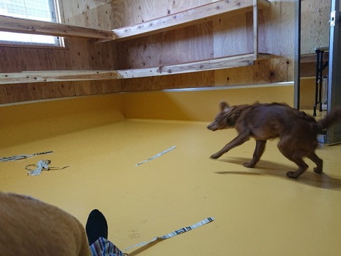 DSC_5874_copy_800x600