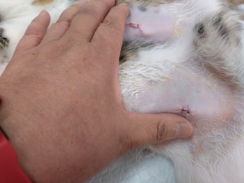 20251126_101427_copy_800x600